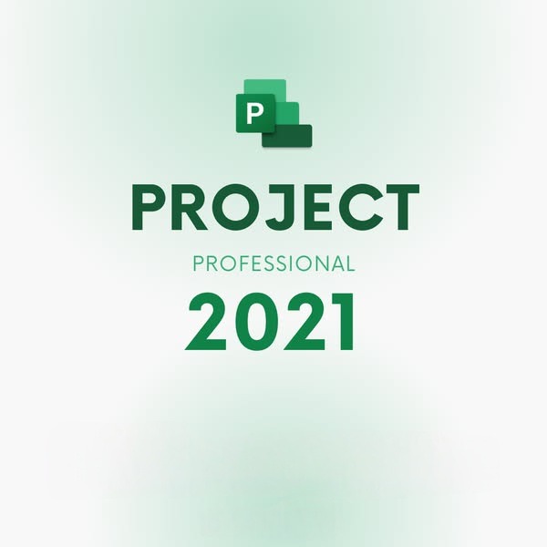 project professional 2021