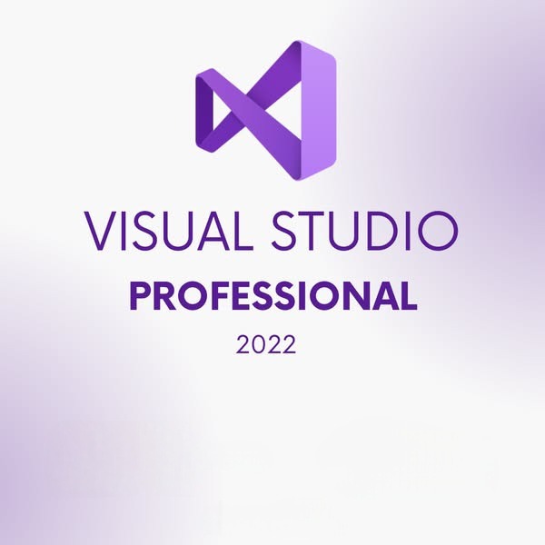 Visual studio pro 2022