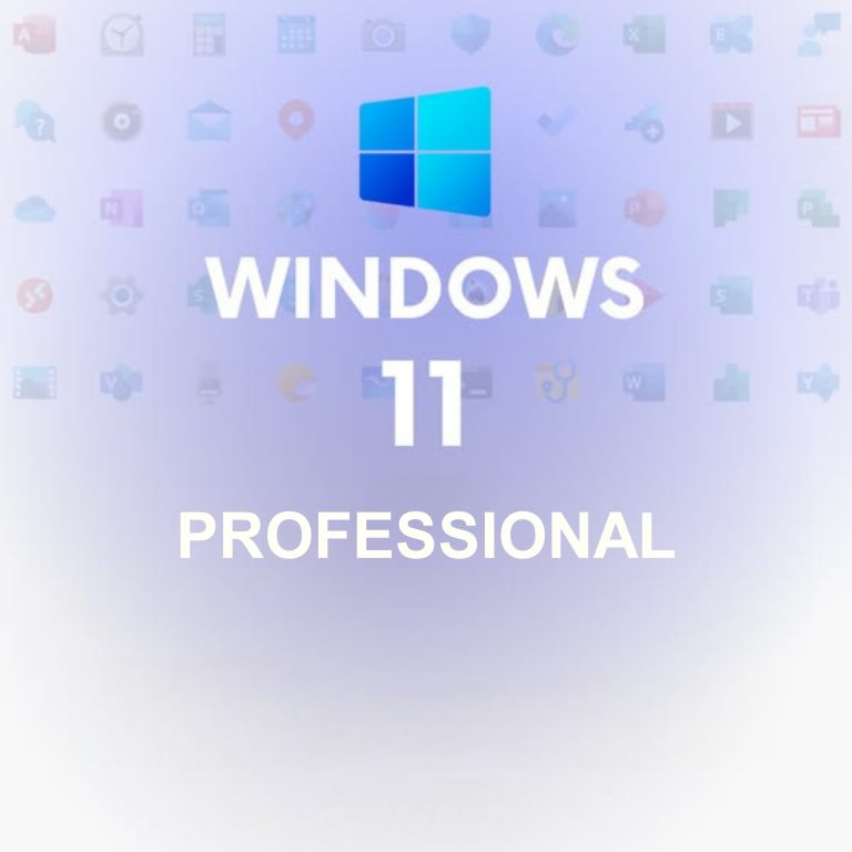 Windows 11 professional
