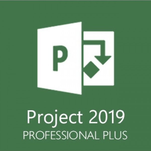 Microsoft project 2019 professional