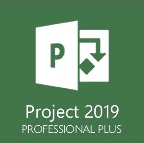 Microsoft project 2019 professional