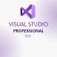 Visual studio pro 2022