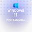 Windows 11 professional